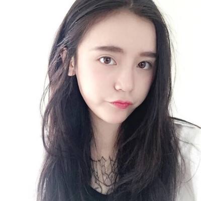 口袋训练家魅影破解版下载
